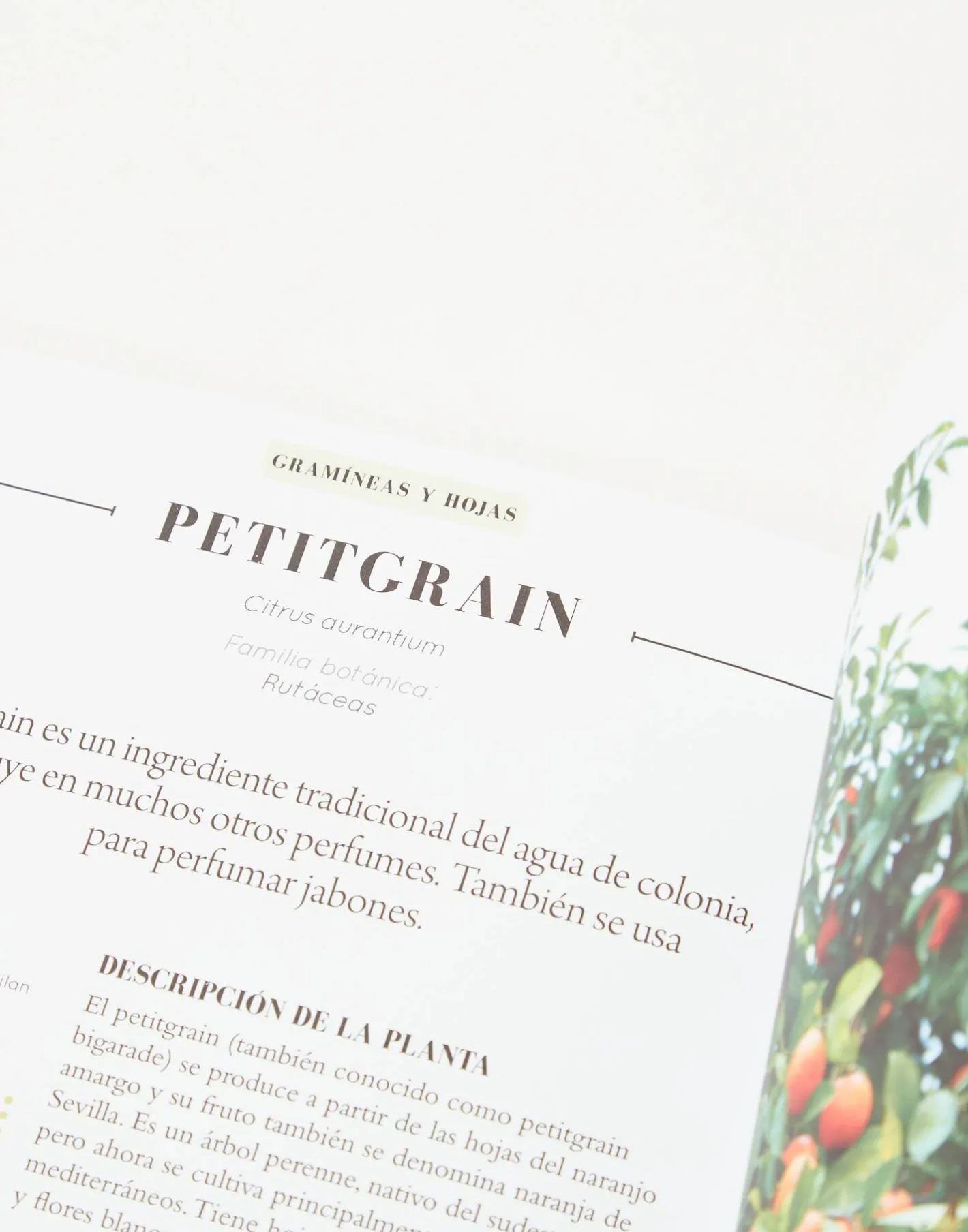 Natura Selection Libros^Aceites Esenciales