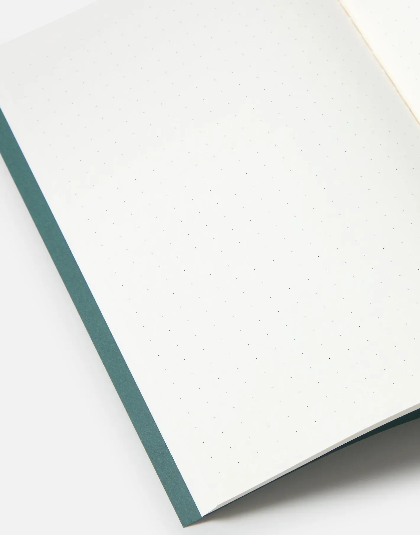 Natura Selection Papelería^Libreta Retro A5