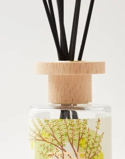 Natura Selection Aromas Y Difusores|Difusores^Mikado Modern 120ml